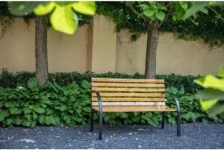 Dutcc 41142 - Tuinbank - Woodstock - 120 Cm – Zwart -Philips Hue Winkel 1200x808 1