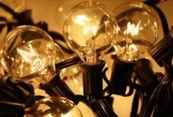 Waterproof Lichtslinger – Voor Binnen En Buiten – 7,6 Meter Lang 17 Waterproof Lichtslinger – Voor Binnen En Buiten – 7,6 Meter Lang -Philips Hue Winkel 1200x813 4