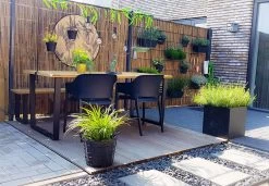 Bamboo Import Europe Gespleten Bamboemat 500 X 100 Cm -Philips Hue Winkel 1200x832 6