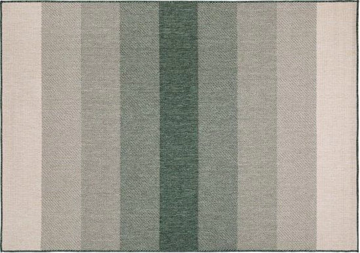 Buiten Vloerkleed Boa - Groen/Wit - Dubbelzijdig - EVA Interior - Polypropyleen - 200 X 290 Cm - (L) 9 Buiten Vloerkleed Boa - Groen/Wit - Dubbelzijdig - EVA Interior - Polypropyleen - 200 X 290 Cm - (L) - Afbeelding 7