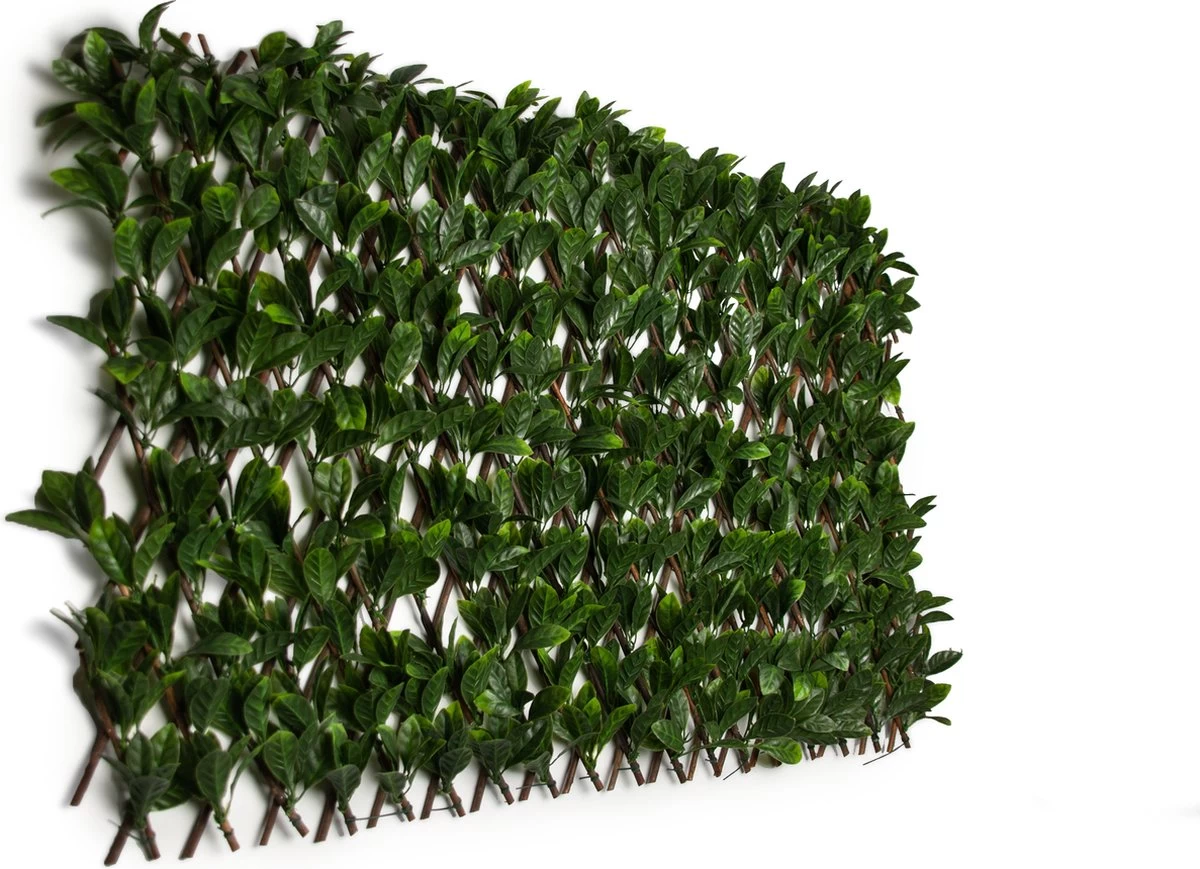 Laurier Kunsthaag-Bamboe Hout-80x40cm Tot 55x230cm-Tuinscherm-Voor Binnen En Buiten-Uitschuifbaar-balkonscherm 3 Laurier Kunsthaag-Bamboe Hout-80x40cm Tot 55x230cm-Tuinscherm-Voor Binnen En Buiten-Uitschuifbaar-balkonscherm