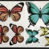Vlinders Sticker Vel, Decoratie Stickers, Kliko Sticker, Container Vlinder Stickers, Deur Stickers, Wand Stickers, CoverArt -Philips Hue Winkel 1200x893 13