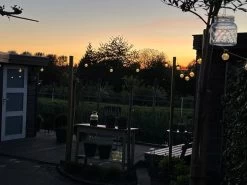 Tuin Lichtsnoer Met Filament Lampjes Van WDMT™ | 13,55 Meter Lang | 20 Stuks LED Lamp Tuin Verlichting Snoer | Sfeervolle Tuinverlichting -Philips Hue Winkel 1200x900 54