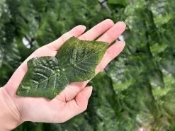 Balkonscherm Kunstbladeren - 1 Bij 3 Meter - Wand Van Kunstbladeren - Scherm Voor Balkon - Tuin Scherm - Scherm Voor Terras - Xd Xtreme -Philips Hue Winkel 1200x900 62