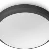 Philips Doris Ceiling - Zwart - IP54 -Philips Hue Winkel 1200x941 4