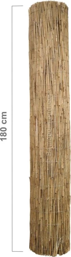Bamboo Import Europe Rietmat Ongepeld 600 X 180 Cm