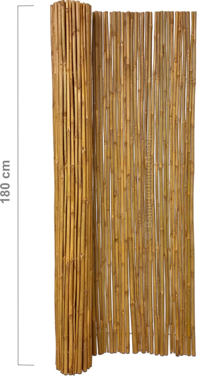 Bamboo Import Europe Bamboemat Op Rol Budget 180 X 180 Cm 5 Bamboo Import Europe Bamboemat Op Rol Budget 180 X 180 Cm - Afbeelding 3