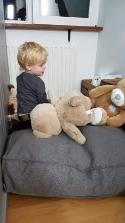 2L Home & Garden Palletkussen Metro Lounge Grijs - 120 X 80cm -Philips Hue Winkel 675x1200 2