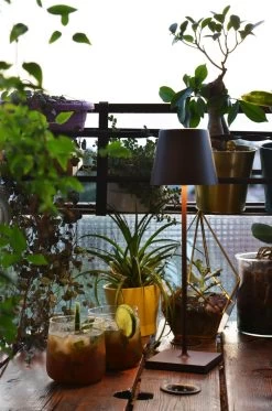 Zafferano - Poldina Pro Hoog - Bruin/ Roest - H38cm - Ledlamp - Terraslamp - Bureaulamp – Tafellamp – Snoerloos – Verplaatsbaar – Duurzaam - Voor Binnen En Buiten – LED - Dimbaar - 3000K – IP54 Spat Waterdicht - USB Oplaadbaar 21 Zafferano - Poldina Pro Hoog - Bruin/ Roest - H38cm - Ledlamp - Terraslamp - Bureaulamp – Tafellamp – Snoerloos – Verplaatsbaar – Duurzaam - Voor Binnen En Buiten – LED - Dimbaar - 3000K – IP54 Spat Waterdicht - USB Oplaadbaar -Philips Hue Winkel 794x1200 6