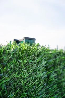 Kunsthaag 90 Strengen 3x1,80m 35 Kunsthaag 90 Strengen 3x1,80m -Philips Hue Winkel 800x1200 109