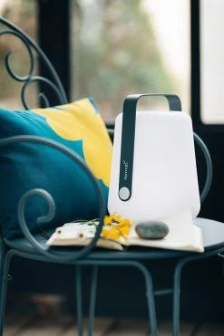 Fermob Balad Tafellamp Voor Binnen En Buiten Oplaadbaar H25cm : Cactus -Philips Hue Winkel 800x1200 97