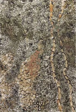 Aledin Carpets Kampala - Vloerkleed 160x230 CM - Laagpolig - Buitenkleed - Voor Binnen En Buiten - Groen - Woonkamer Tapijt