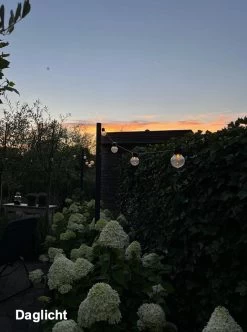 Tuin Lichtsnoer Met Filament Lampjes Van WDMT™ | 13,55 Meter Lang | 20 Stuks LED Lamp Tuin Verlichting Snoer | Sfeervolle Tuinverlichting -Philips Hue Winkel 892x1200 2