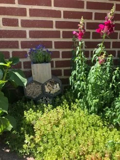 GARDEN SPIRIT Bijenhotel Met Bloempot 33 X 23 X 11 - Insectenhotel -Philips Hue Winkel 899x1200 24