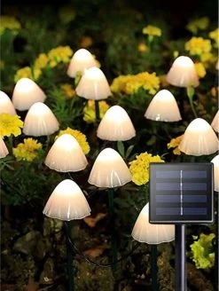 Cynergie - Tuinverlichting Op Zonneenergie - 20 X Led Lampen - Solar Lampjes Met Paddenstoelen - Kerstverlichting Buiten -Philips Hue Winkel 905x1200 1