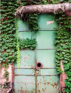 Forest Kunsthaag Klimop - Kunsthaag - Tuinscherm - Klimop - 90 X 180 Cm - Harmonica Model -Philips Hue Winkel 916x1200 3