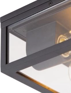 QAZQA Charlois - Design Plafondlamp Voor Buiten - 2 Lichts - L 24 Cm - Zwart - Buitenverlichting -Philips Hue Winkel 918x1200 2