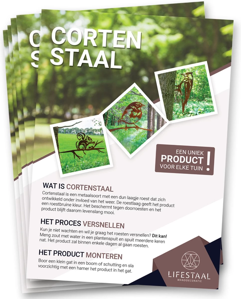 Tuindecoratie - Cortenstaal - Metalbird - Boomdecoratie - Roodborstje - 25x13cm 7 Tuindecoratie - Cortenstaal - Metalbird - Boomdecoratie - Roodborstje - 25x13cm - Afbeelding 5