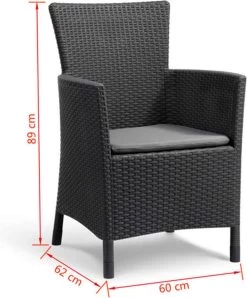 Allibert Iowa Tuinstoel - 60x62x89cm – Grafiet -Philips Hue Winkel 996x1200